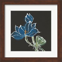 Lotus on Black VII Fine Art Print