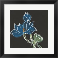 Lotus on Black VII Fine Art Print