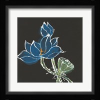 Lotus on Black VII Framed Print