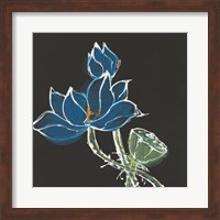 Lotus on Black VII Fine Art Print