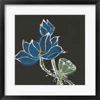 Lotus on Black VII Framed Print