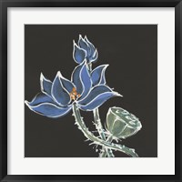 Lotus on Black VI Fine Art Print