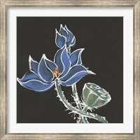 Lotus on Black VI Fine Art Print