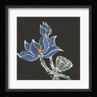 Lotus on Black VI Framed Print