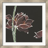 Lotus on Black V Fine Art Print