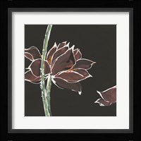 Lotus on Black V Framed Print