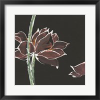 Lotus on Black V Framed Print