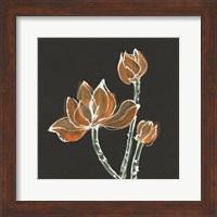 Lotus on Black IV Fine Art Print