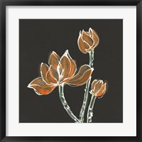Lotus on Black IV Fine Art Print