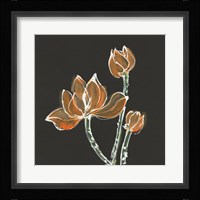 Lotus on Black IV Framed Print