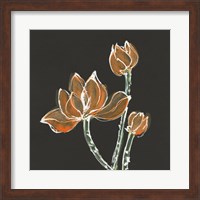 Lotus on Black IV Fine Art Print