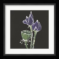 Lotus on Black II Framed Print