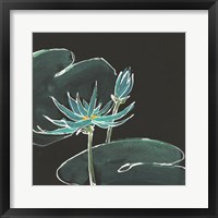 Lily on Black IV Framed Print