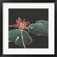 Lily on Black III Framed Print