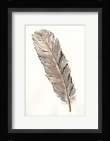 Gold Feathers V Framed Print