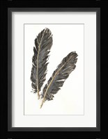 Gold Feathers IV Framed Print
