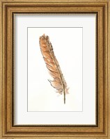 Gold Feathers II Fine Art Print