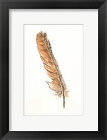 Gold Feathers II Fine Art Print