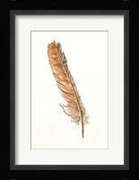 Gold Feathers II Framed Print