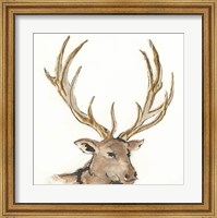 Gilded Elk Fine Art Print