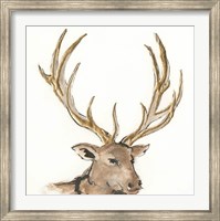 Gilded Elk Fine Art Print