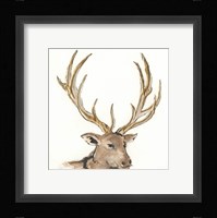 Gilded Elk Framed Print