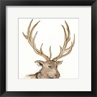 Gilded Elk Framed Print