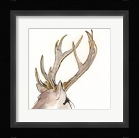 Gilded Deer Framed Print