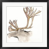 Gilded Caribou Fine Art Print