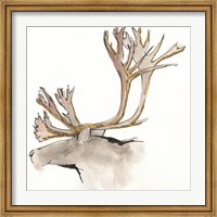 Gilded Caribou Fine Art Print