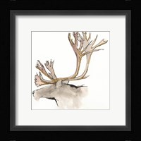 Gilded Caribou Framed Print
