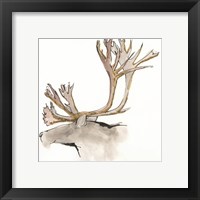Gilded Caribou Framed Print