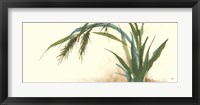 Horizontal Grass II Framed Print