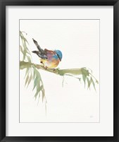 Finch v2 Fine Art Print