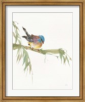 Finch v2 Fine Art Print