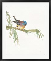 Finch v2 Fine Art Print