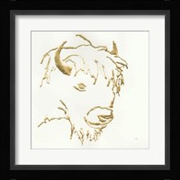 Gilded Buffalo Framed Print