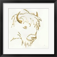 Gilded Buffalo Framed Print