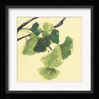 Gingko Leaves I Dark Fine Art Print
