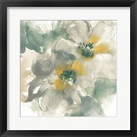 Silver Quince I on White Framed Print