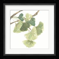 Gingko Leaves I on White Fine Art Print