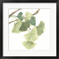 Gingko Leaves I on White Fine Art Print