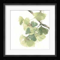 Gingko Leaves II on White Fine Art Print