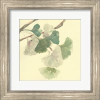 Gingko Leaves I Fine Art Print