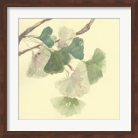 Gingko Leaves I Fine Art Print