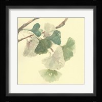 Gingko Leaves I Fine Art Print