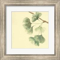 Gingko Leaves III Fine Art Print