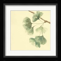 Gingko Leaves III Fine Art Print