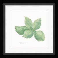 Basil Fine Art Print