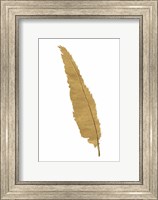 Pure Gold Feather VI Fine Art Print